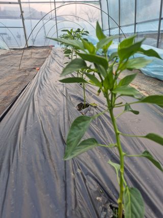 김혜순님의 자유주제 · 자유게시판 작성글 사진