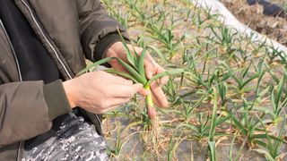 누보농장님의 자유주제 · 자유게시판 작성글 사진