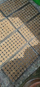 팜모닝 자유주제·자유게시판 게시글 이미지