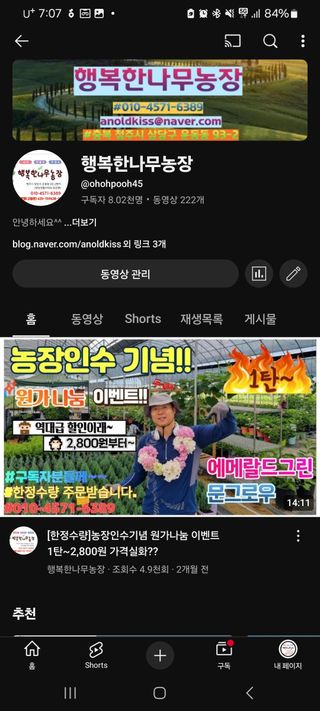 행복한나무농장님의 작성글 사진