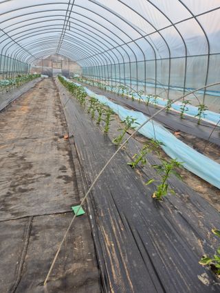 김혜순님의 자유주제 · 자유게시판 작성글 사진