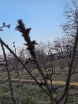 팜모닝 2025 풍년들게 하소서!·참여글 게시글 이미지