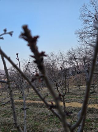 박정희 님의 2025 풍년들게 하소서! · 참여글 작성글 사진