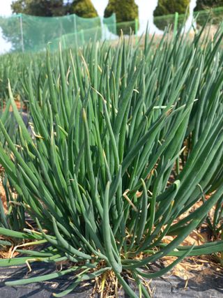 박린님의 자유주제 · 자유게시판 작성글 사진