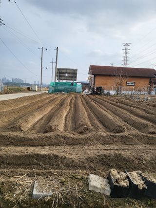 박순례님의 2025 풍년들게 하소서! · 참여글 작성글 사진