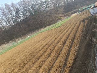 옥천서화농님의 자유주제 · 자유게시판 작성글 사진