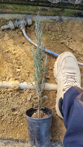 행복한나무농장님의 작성글 사진