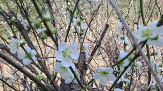 월굴리이승재님의 자유주제 · 자유게시판 작성글 사진