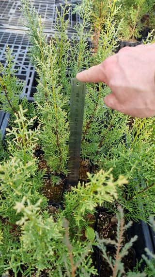 행복한나무농장님의 작성글 사진