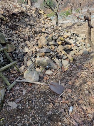 김용대님의 자유주제 · 자유게시판 작성글 사진