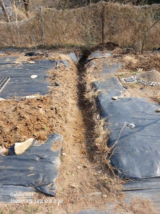 이세순님의 자유주제 · 자유게시판 작성글 사진