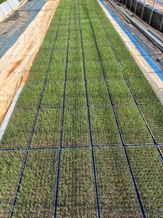 박린님의 자유주제 · 자유게시판 작성글 사진