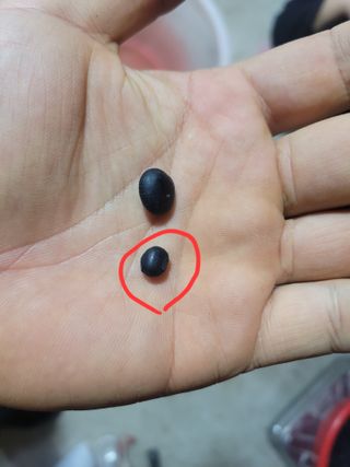 이은호님의 작성글 사진