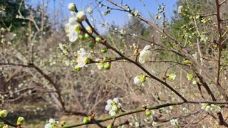 월굴리이승재님의 자유주제 · 자유게시판 작성글 사진