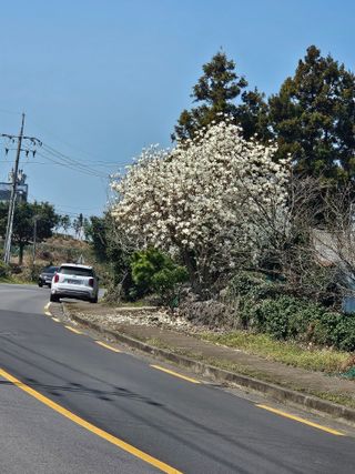 제주 지안이네농장님의 자유주제 · 자유게시판 작성글 사진