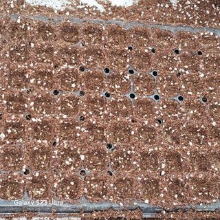 박용열조물주님 님의 자유주제 · 자유게시판 작성글 사진