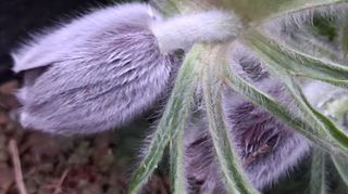 이정운님의 자유주제 · 자유게시판 작성글 사진