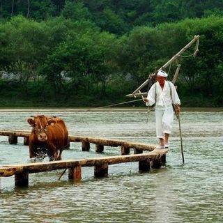 농업인.김정기님의 2025 풍년들게 하소서! · 참여글 작성글 사진