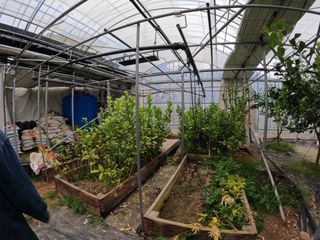 정미리님의 작성글 사진