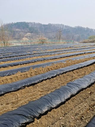 !정의규님의 자유주제 · 자유게시판 작성글 사진