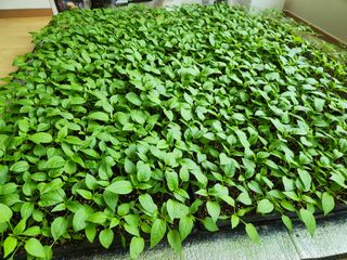 보은 김영순님의 자유주제 · 자유게시판 작성글 사진