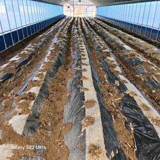 박용열조물주님 님의 자유주제 · 자유게시판 작성글 사진