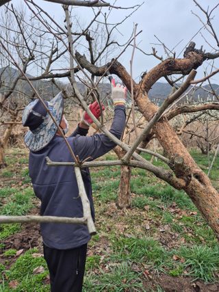 최선규님의 자유주제 · 자유게시판 작성글 사진