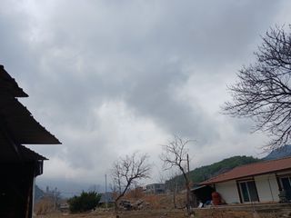 알 수 없음님의 자유주제 · 자유게시판 작성글 사진