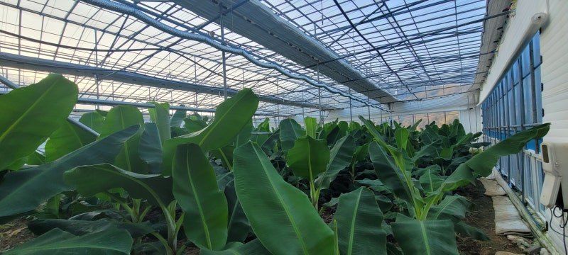 권영관님의 장터 판매 상품 [리모트팜 컨트롤박스] 첨부 사진