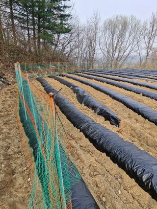 !정의규님의 자유주제 · 자유게시판 작성글 사진