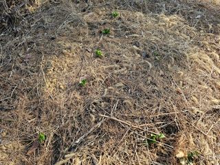 왕개미님의 자유주제 · 자유게시판 작성글 사진