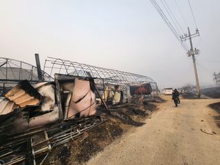 승원농장님의 산불 피해 괜찮으신가요? · 참여글 작성글 사진