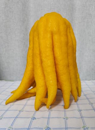 정미리님의 작성글 사진