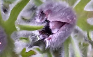 이정운님의 자유주제 · 자유게시판 작성글 사진