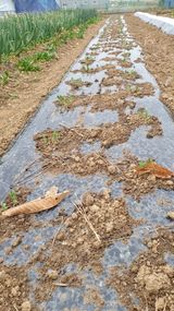 팜모닝 자유주제·자유게시판 게시글 이미지