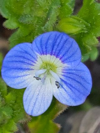 쌍둥이네농장님의 자유주제 · 건의해요 작성글 사진