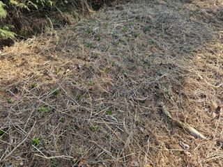 왕개미님의 자유주제 · 자유게시판 작성글 사진