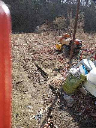 포도13918님의 2025 풍년들게 하소서! · 참여글 작성글 사진