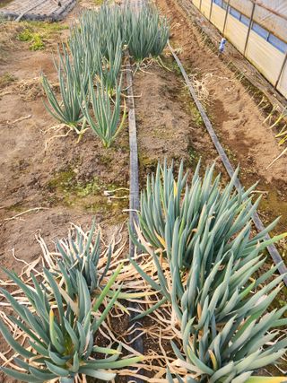 갑돌이님의 자유주제 · 자유게시판 작성글 사진