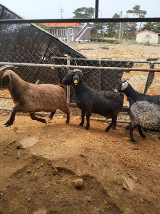 김석현님의 자유주제 · 자유게시판 작성글 사진