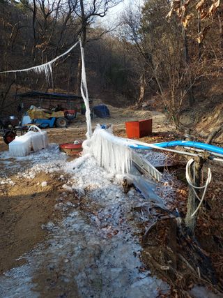 포도13918님의 2025 풍년들게 하소서! · 참여글 작성글 사진