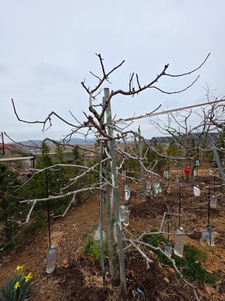 정정호님의 자유주제 · 자유게시판 작성글 사진