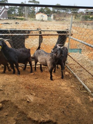 김석현님의 자유주제 · 자유게시판 작성글 사진