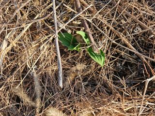 왕개미님의 자유주제 · 자유게시판 작성글 사진