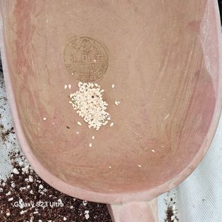 박용열조물주님 님의 자유주제 · 자유게시판 작성글 사진