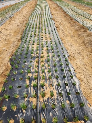 갑돌이님의 자유주제 · 자유게시판 작성글 사진
