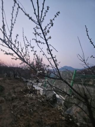 딸기11775님의 2025 풍년들게 하소서! · 참여글 작성글 사진