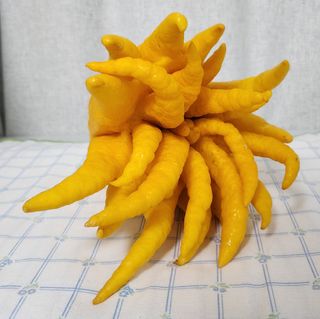 정미리님의 자유주제 · 자유게시판 작성글 사진