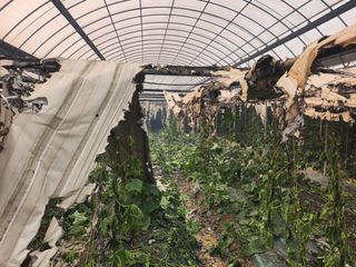 승원농장님의 산불 피해 괜찮으신가요? · 참여글 작성글 사진