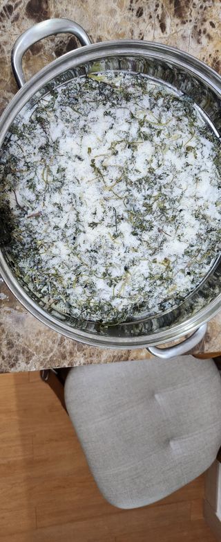 동동이님의 자유주제 · 자유게시판 작성글 사진